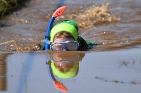 Image result for Bog Snorkelling Championships