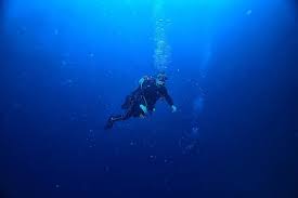 Image result for Tornado Divers