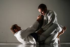 Image result for AAZENTAI JU JITSU