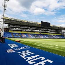 Image result for Palace Eagles Octopush Club