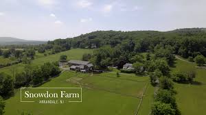 Image result for Annandale Equestrian Centre