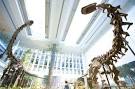 Steel and Science Bring Dinosaurs into the 21st Century at the ...