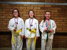 Image result for Swansea Taekwondo Club