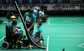 Image result for North Wales Boccia