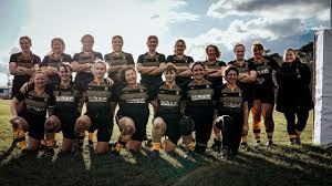 Image result for Camberley Ladies Football Club