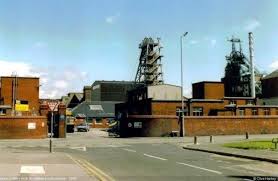 Image result for St Helens Miners