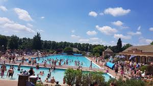 Image result for Biggleswade Swimming Club