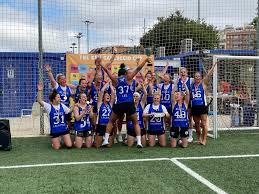 Image result for Walcountain Blues Lacrosse