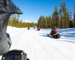 Image result for snowmobile