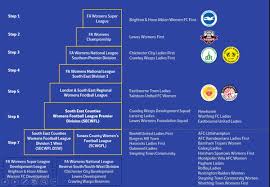 Image result for Hassocks Ladies FC