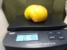 Afbeeldingsresultaat voor northern lights tomato