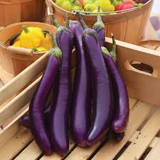 Afbeeldingsresultaat voor fengyuan purple eggplant