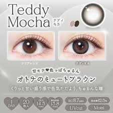 「エバーカラーワンデーナチュラル」の画像検索結果