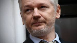 Image result for julian assange