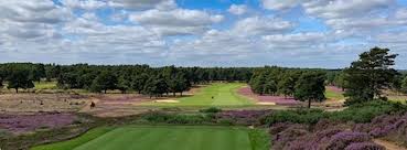 Image result for Hankley Common Golf Club
