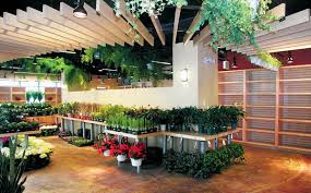 Interior garden patio