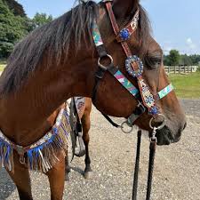 Image result for Palmers Riding Stables