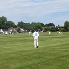 Image result for Dumbleton Cc