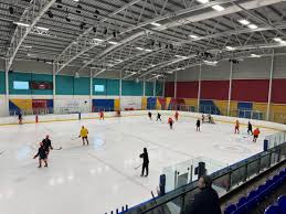 Image result for Sheffield Wildcats Rink Hockey and Roller Skating Club
