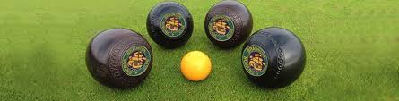 Image result for Braunton Bowling Club