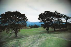 Image result for Church Stretton Golf Club
