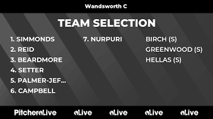 Image result for Wandsworth Netball Club