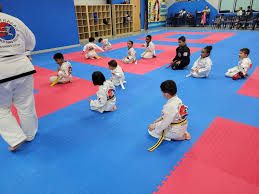 Image result for Valentin Karate