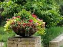 Container Gardening Ideas
