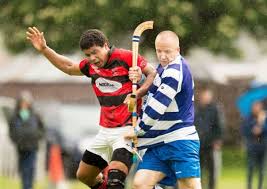 Image result for World of Shinty