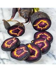 Attēlu rezultāti vaicājumam “Daucus carota subsp. carota fruit”