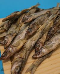 Attēlu rezultāti vaicājumam “Charales”