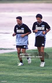 Attēlu rezultāti vaicājumam “Fuligo licentii young”