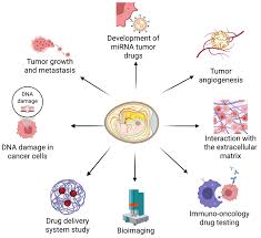 Image result for Unsworth Cc