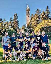 Image result for Sean Treacy`s Hurling Club