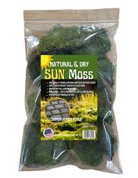 Attēlu rezultāti vaicājumam “Bryum caespiticium”