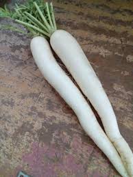 Image result for Rettich