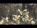 Residents to tour areas devastated by Colo. blaze - Worldnews.