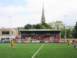 Image result for Dorking Wanderers F C
