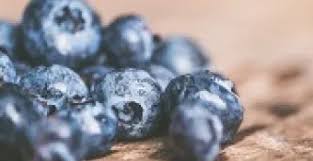 Attēlu rezultāti vaicājumam “Vaccinium myrtillus fruit”