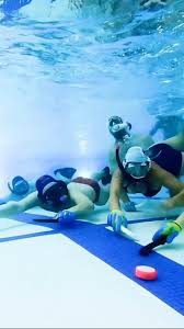 Image result for Stalybridge Snorkel Club