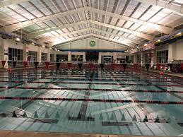 Image result for Sedgefield 75 Swimming Club