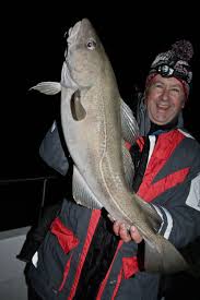 Image result for Bristol Channel Sea Fishing