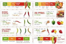Afbeeldingsresultaat voor chili maya hot pepper hot pepper