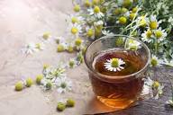 HerbMentor Radio: John & Tara—Chamomile Tea, Herbs for Hair Growth ...