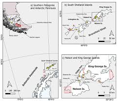 Attēlu rezultāti vaicājumam “Sanionia uncinata  sporophyte”