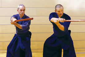 Image result for kyokujitsu Kai