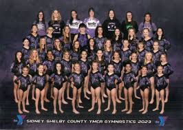 Image result for Sheredes Gymnastics Club