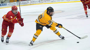 Image result for Gordonians Hockey Club