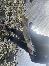 Image result for Airdrie & District Angling Club