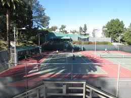 Image result for Sandford Tennis Club
